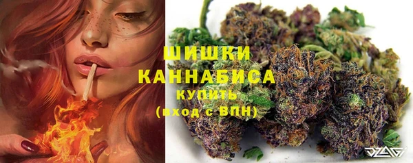 jwh Бородино