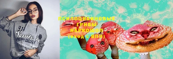 jwh Бородино
