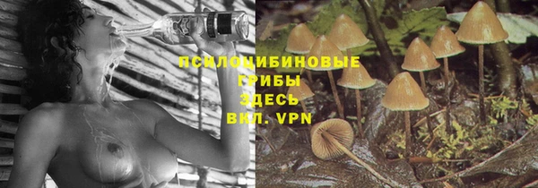 герыч Бронницы